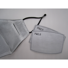 Load image into Gallery viewer, Palm Print Face Mask w/ PM2.5 Filters - Bearified Gear

